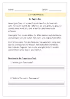Vorschau - Arbeitsblätter - Lesevertändnis_Ende 1.Klasse / 2.Klasse - Deckblatt