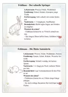 Vorschau - Mal- und Bastelvorlagen - Tiere der Wiese und des Feldes – Komplettpaket: 28 Wissenskarten, Steckbriefe, Ausmalbilder & Quiz - Seite 2