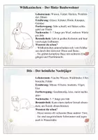 Vorschau - Merkblätter - Tiere auf der Wiese und am Feld – 28 Wissenskarten - Seite 3