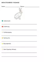 Vorschau - Arbeitsblätter - Tiere auf der Wiese und am Feld – 28 STECKBRIEFE und Großes Tier-Quiz (30 Fragen) - Seite 1