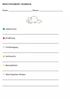 Vorschau - Arbeitsblätter - Tiere auf der Wiese und am Feld – 28 STECKBRIEFE und Großes Tier-Quiz (30 Fragen) - Seite 2
