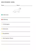 Vorschau - Arbeitsblätter - Tiere auf der Wiese und am Feld – 28 STECKBRIEFE und Großes Tier-Quiz (30 Fragen) - Seite 3
