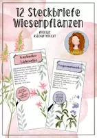 Vorschau - Merkblätter - 12 Pflanzensteckbriefe - Fächer - Deckblatt