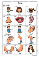 Vorschau - Unterrichtsreihen - English Workbook: Body Parts (Englisch Übungsheft) - Seite 2