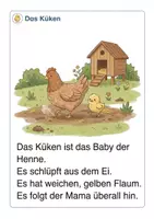 Vorschau - Arbeitsblätter - Alles rund um das Huhn Wissens- und Mitmachheft (Kita - 1.Klasse) - Seite 3