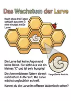 Vorschau - Unterrichtsreihen - Alles rund um Biene Wissens- und Mitmachheft (Kita - 1. Klasse) - Seite 2