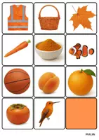 Vorschau - Spiele - 22 Bildkärtchen in der Farbe Orange - Seite 2