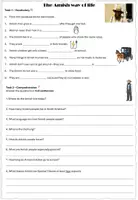 Vorschau - Arbeitsblätter - The Amish – Reading, Vocabulary & Comprehension - Seite 2