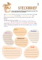 Vorschau - Arbeitsblätter - Steckbrief Tiere (Differenziert) - Seite 2