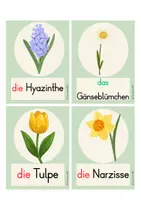Vorschau - Bildkarten - Wortschatzkarten Frühling (Kl. 2-4, DaZ) - Seite 3