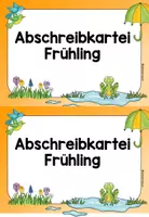 Vorschau - Fördermaterial/Inklusion - Abschreibkartei Frühling - Seite 1