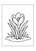 Vorschau - Arbeitsblätter - Frühblüher-Ausmalbilder zum Ausmalen im Frühling - Seite 2
