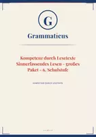 Vorschau - Unterrichtsreihen - Sinnerfassendes Lesen – 6. Schulstufe (Mittelschule) - Deckblatt