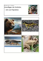 Vorschau - Arbeitsblätter - Grundlagen der Evolution - Art und Population - Deckblatt