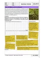 Vorschau - Arbeitsblätter - AA-14-BAUM_Wie-viel-Klima-rettet-ein-Baum - Deckblatt