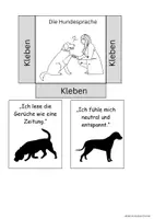 Vorschau - Arbeitsblätter - Der Hund-2 - Seite 3