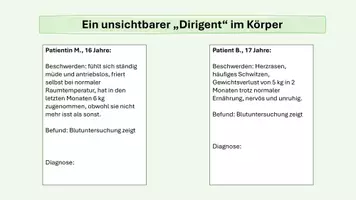 Vorschau - Arbeitsblätter - Hormone - Botenstoffe des Körpers - Seite 3