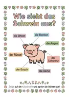 Vorschau - Arbeitsblätter - Alles rund um das Schwein Wissens- und Mitmachheft (Kita - 1. Klasse) - Seite 1