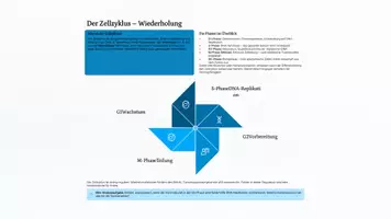Vorschau - Präsentationen/Tafelbilder - Unsterblichkeit in der Biologie - Telomere, Krebszellen & biologische Alterung | Biologie Sek II | Präsentation | Stand 2026 - Seite 3