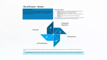 Vorschau - Präsentationen/Tafelbilder - Biological Immortality – Can Cells Live Forever? Telomeres, Cancer & Aging | Upper Secondary Biology | 2026 Update - Seite 3