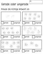 Vorschau - Arbeitsblätter - Gerade & ungerade Zahlen 1.Klasse | Meerestieredition - Seite 3