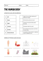 Vorschau - Unterrichtsreihen - The Human Body: Reading and Vocabulary (English) - Seite 3