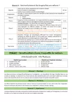 Aperçu - Préparation de séquence / Séquence complète - Sciences CE2/CM1 - Les volcans - Page 2