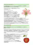 Vorschau - Arbeitsblätter - Die Berfruchtung der Blütenpflanze - Leporello - Seite 2