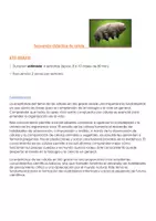Vista previa - Unidades / Secuencias / Situaciones de Aprendizaje - secuencia didactica; celulas 6to grado - Portada