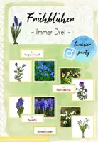 Vorschau - Spiele - Frühblüher: Immer Drei (Kl. 1/2) - Deckblatt