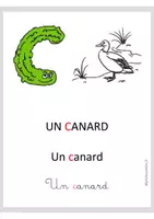 Aperçu - Apprentissages en autonomie - Cartes Abécédaire 27 cartes - Page 2