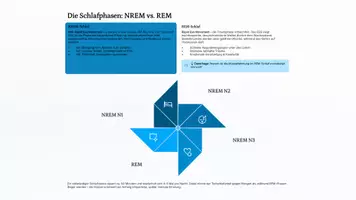Vorschau - Präsentationen/Tafelbilder - Träume – Warum das Gehirn nachts Geschichten erfindet REM-Schlaf, Neurobiologie & Bewusstsein | Sek II (Kl. 10–13) | Präsentation - Seite 3
