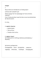 Vorschau - Arbeitsblätter - Leseverstehen Frühling Deutsch B1 mit Lösung - Seite 3