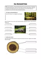 Vorschau - Arbeitsblätter - Arbeitsblatt: „Der Werkstoff Holz“ – Technik / Werken - Seite 1
