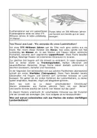 Vorschau - Arbeitsblätter - Mystery – Vom Wasser zum Land - Seite 2