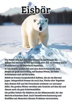Vorschau - Merkblätter - 18 Lernkarten mit Fakten - Tiere der Arktis - Seite 1