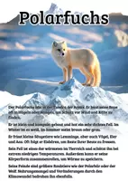 Vorschau - Merkblätter - 18 Lernkarten mit Fakten - Tiere der Arktis - Seite 3