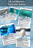 Vorschau - Merkblätter - 18 Lernkarten mit Fakten - Tiere der Arktis - Deckblatt