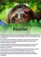 Vorschau - Merkblätter - 20 Lernkarten mit Fakten - Tiere des Regenwaldes - Seite 2