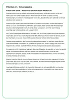 Vorschau - Klassenarbeiten - Probeprüfung RSA 2026 mit Lektüre "Der Markisenmann" - Seite 2