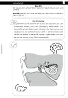 Vorschau - Arbeitsblätter - Der Hörsinn des Menschen - experimentelle Unterrichtsstunde - Seite 3