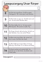 Vorschau - Arbeitsblätter - Lesespaziergang Unser Körper 🧠🫀 | Dreifach differenziert – Klasse 2–3 | Sachunterricht & Lesen - Seite 3