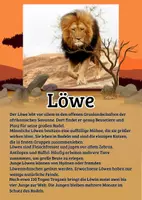 Vorschau - Merkblätter - 19 Lernkarten mit Fakten - Tiere der Savanne - Seite 1