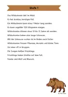 Vorschau - Arbeitsblätter - Das Wildschwein - Differenzierte Sach- und Lesetexte - Seite 1