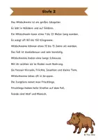 Vorschau - Arbeitsblätter - Das Wildschwein - Differenzierte Sach- und Lesetexte - Seite 2