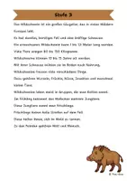 Vorschau - Arbeitsblätter - Das Wildschwein - Differenzierte Sach- und Lesetexte - Seite 3
