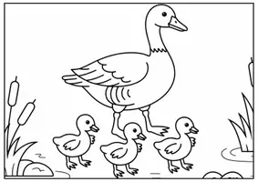 Vorschau - Mal- und Bastelvorlagen - Gans Ausmalbilder für Kinder Kunst & Malvorlagen Klasse 1 bis 4 Grundschule - Seite 3