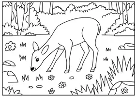 Vorschau - Mal- und Bastelvorlagen - Reh Ausmalbilder für Kinder Kunst & Malvorlagen Klasse 1 bis 4 Grundschule - Seite 1