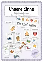 Vorschau - Präsentationen/Tafelbilder - Sinne: Einführung Tafelmaterial - Deckblatt