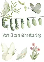 Vorschau - Stundenentwürfe - Vom Ei zum Schmetterling: Legekreis - Deckblatt